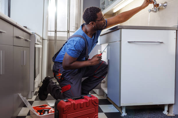 Best Commercial Plumbing Services  in Monticello, MN